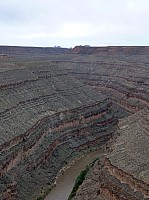gooseneck (3).JPG